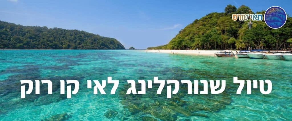 תאי טורס